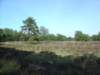 TerApel 018_small.jpg